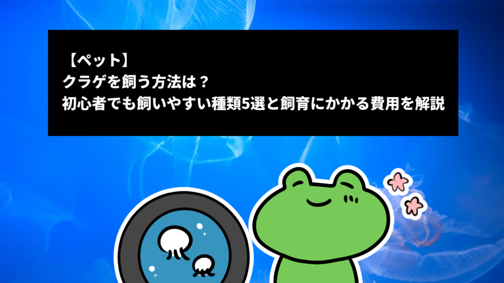 【ペット】クラゲを飼う方法は？初心者でも飼いやすい種類5選と飼育にかかる費用を解説