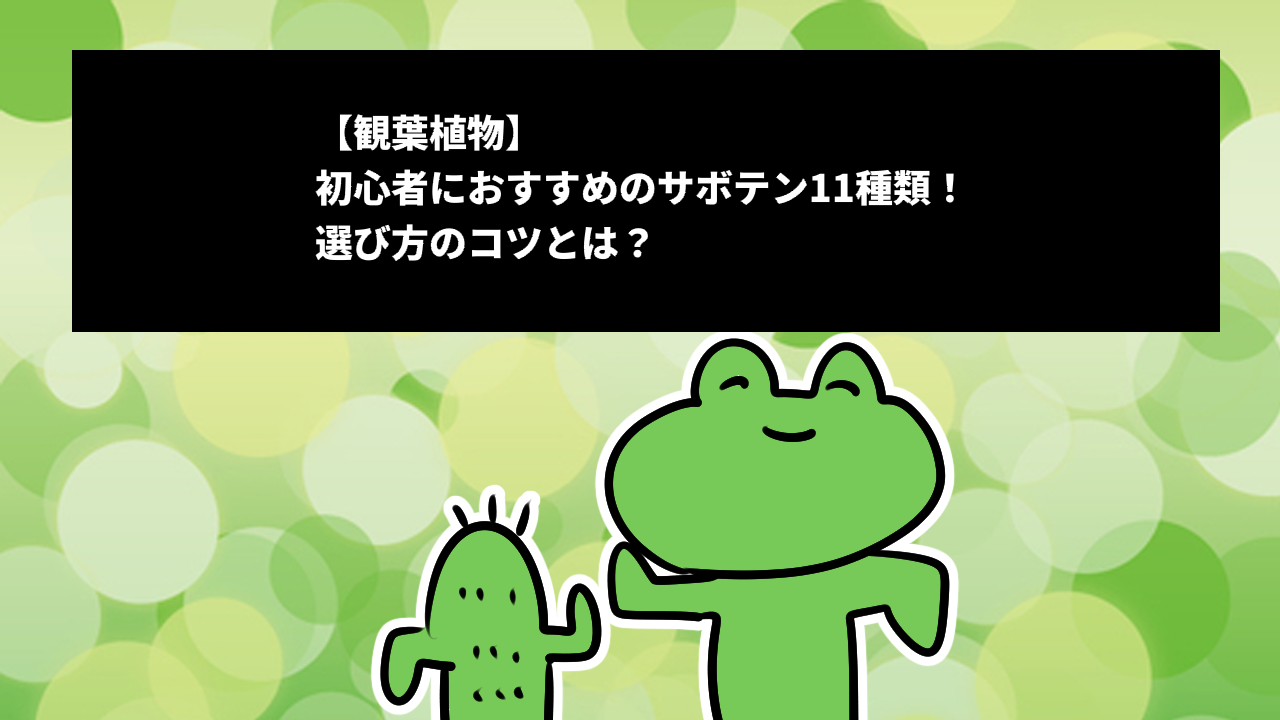 【観葉植物】初心者におすすめのサボテン11種類！選び方のコツとは？